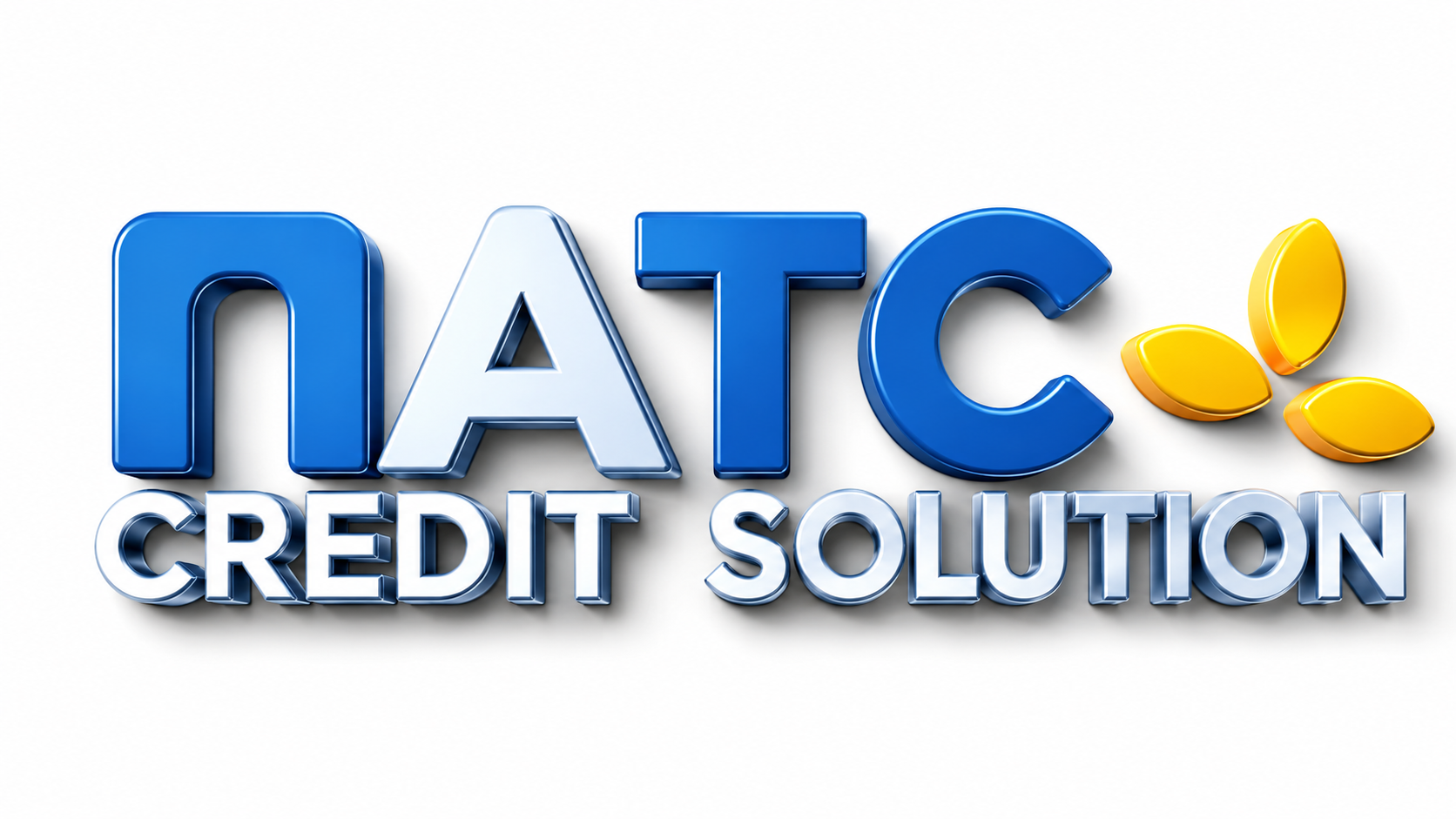 NATC Credit Solution